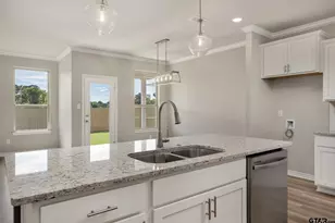 306 Driftwood Way, Whitehouse, TX 75791 - Photo 6