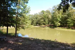 2814 Hare Rd, Gilmer, TX 75644 - Photo 20