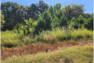 Tbd Hwy 110 N, Whitehouse, TX 75791 - Photo 6
