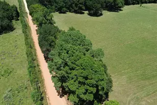 1684 Cr 1050, Crockett, TX 75835 - Photo 4