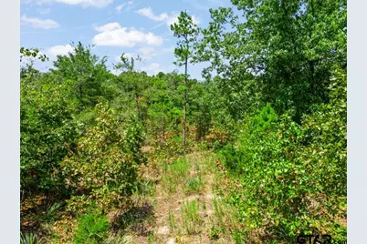 Tbd Cr 3854 4.542 Acres, Hawkins, TX 75765 - Photo 6