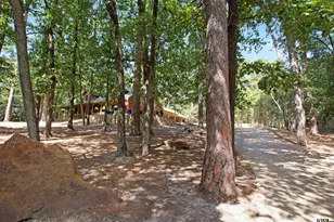 333 Dogwood Trail, Holly Lake Ranch, TX 75765 - Photo 12