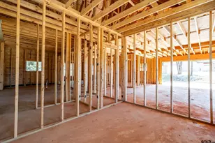 12312 Oak Grove, Tyler, TX 75706 - Photo 24
