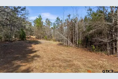 Tbd Highway 135, Troup, TX 75789 - Photo 2