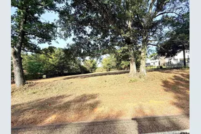 Tbd N Jarvis, Troup, TX 75789 - Photo 8