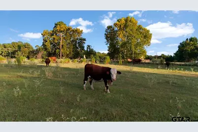 0 Fm 314, Brownsboro, TX 75756 - Photo 4