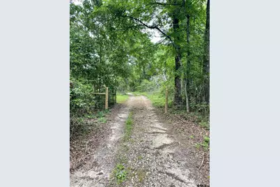 Tbd County Road 1147, Tyler, TX 75704 - Photo 4