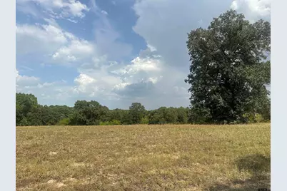 Tbd 3520 Tract 1, Brownsboro, TX 75756 - Photo 6