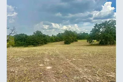 Tbd 3520 Tract 2, Brownsboro, TX 75756 - Photo 1