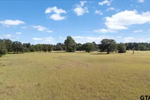 1000 An County Road 1208, Grapeland, TX 75844 - Photo 38