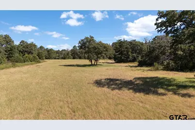 1000 An County Road 1208, Grapeland, TX 75844 - Photo 6