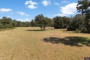 1000 An County Road 1208, Grapeland, TX 75844 - Photo 6