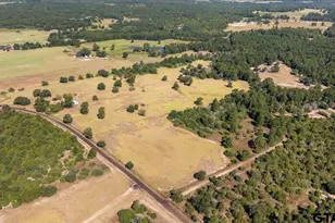 1000 An County Road 1208, Grapeland, TX 75844 - Photo 44