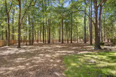 17820 Oak Forest Dr, Flint, TX 75762 - Photo 44