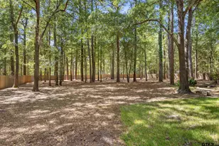 17820 Oak Forest Dr, Flint, TX 75762 - Photo 44
