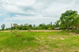 2450 Red Maple Rd, Big Sandy, TX 75755 - Photo 1
