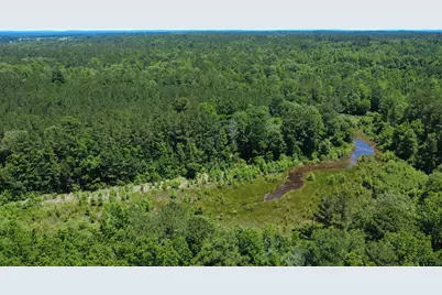 27.5 Ac Cr 383, Palestine, TX 75801 - Photo 6