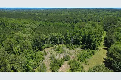 27.5 Ac Cr 383, Palestine, TX 75801 - Photo 8