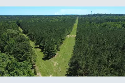 27.5 Ac Cr 383, Palestine, TX 75801 - Photo 2
