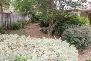 713 Meadow Creek, Tyler, TX 75703 - Photo 24