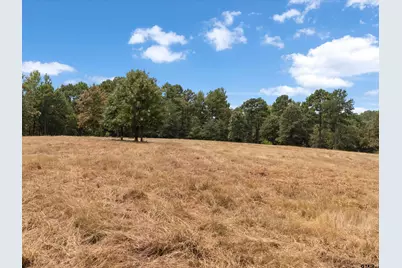 Tbd Silk Tree Rd, Gilmer, TX 75645 - Photo 10
