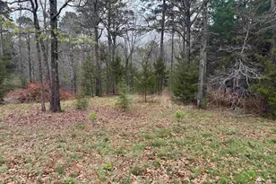 Lots 9-11 Lake Gladewater Rd, Gladewater, TX 75647 - Photo 1