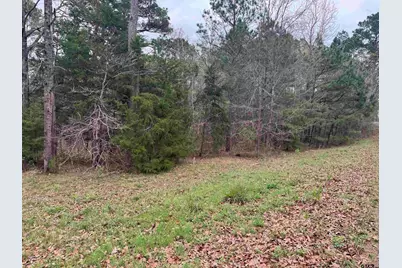 Lots 9-11 Lake Gladewater Rd, Gladewater, TX 75647 - Photo 2