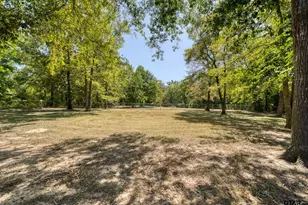 46 Christie, Diana, TX 75640 - Photo 34