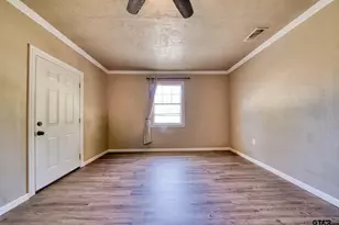 46 Christie, Diana, TX 75640 - Photo 30