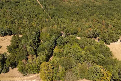 2008 Hwy 64 West, Ben Wheeler, TX 75754 - Photo 2