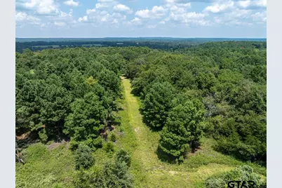 825 An County Road 1200, Elkhart, TX 75839 - Photo 34