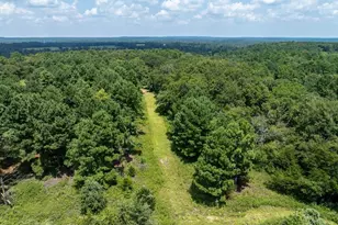 825 An County Rd 1200, Elkhart, TX 75839 - Photo 34