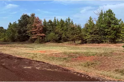 Tbd County Road 353 S, Henderson, TX 75654 - Photo 8