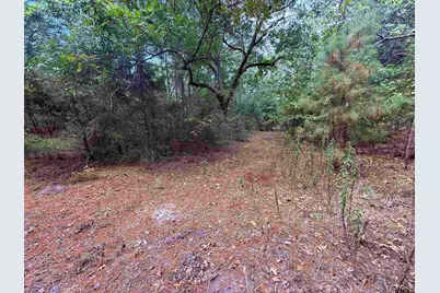 Tbd Fm 312, Winnsboro, TX 75494 - Photo 8