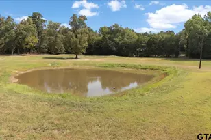 17815 Co Rd 3302, Brownsboro, TX 75756 - Photo 42
