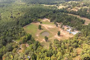 17815 Co Rd 3302, Brownsboro, TX 75756 - Photo 46