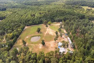 17815 Co Rd 3302, Brownsboro, TX 75756 - Photo 48