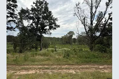 21016 Hwy 31, Tyler, TX 75705 - Photo 2