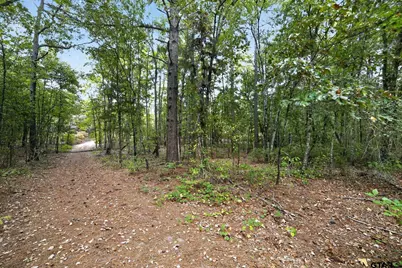 4079 S Farm To Market Road 2869 Hawkins, Tx 75, Hawkins, TX 75765 - Photo 14