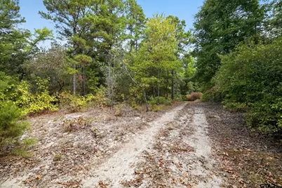 4079 S Farm To Market Road 2869 Hawkins, Tx 75, Hawkins, TX 75765 - Photo 28