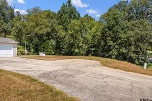 16202 County Rd 165, Tyler, TX 75703 - Photo 6
