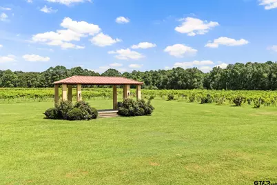 658 County Road 1334, Pittsburg, TX 75686 - Photo 4