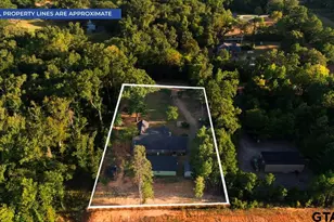 16136 County Rd 1134, Tyler, TX 75709 - Photo 48