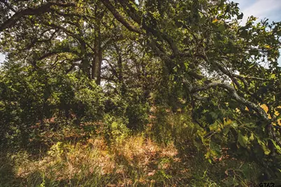 0001 Fm 148, Scurry, TX 75158 - Photo 16