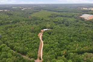 2304 Co Rd 1240, Pittsburg, TX 75686 - Photo 32