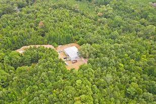 2304 Co Rd 1240, Pittsburg, TX 75686 - Photo 34
