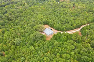 2304 Co Rd 1240, Pittsburg, TX 75686 - Photo 36
