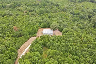 2304 Co Rd 1240, Pittsburg, TX 75686 - Photo 8