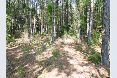 Tbd Cr 4313, Pittsburg, TX 75686 - Photo 4