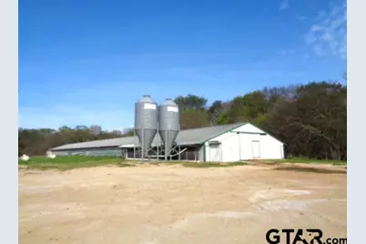 9773 Fm 556, Gilmer, TX 75644 - Photo 10